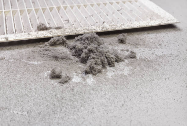 Best Ductwork Cleaning Services  in Clever, MO