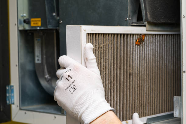 Best Affordable Duct Cleaning Services  in Clever, MO