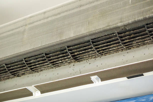 Best HVAC System Cleaning  in Clever, MO
